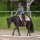 Gina Gentner Crazy Horse Ranch 