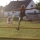 Andrea Dirndorfer Reitstall Aubing 